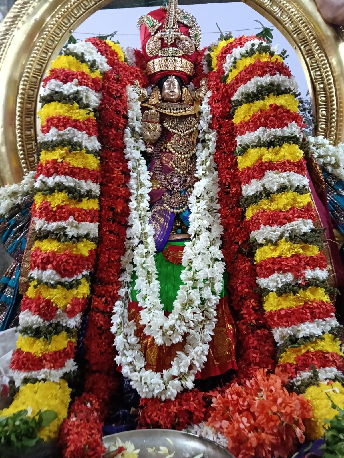 Parvettai - Local Festival